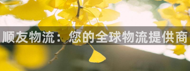 28圈pg麻将胡了2老是空转