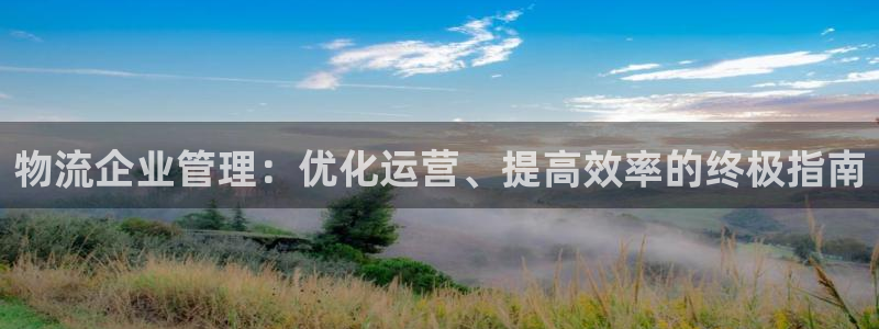 28圈注册流程：物流企业管理：优化运