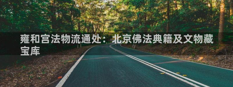 28圈技巧：雍和宫法物流通处：北京佛
