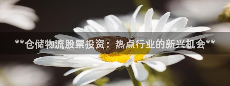 28圈.ccmpcios