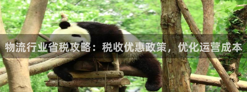28圈官方版网站