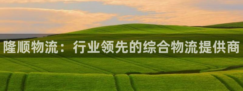 28圈注册网站多少：隆顺物流：行业领