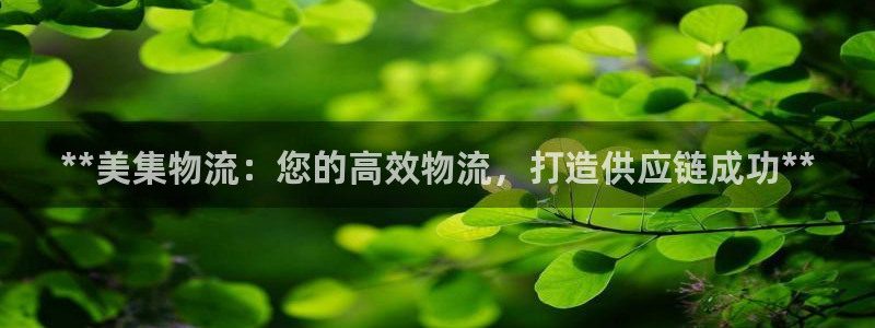 28圈如何看计划：**美集物流：您的