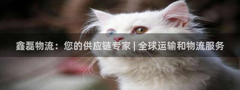 28圈自行车搞笑图片
