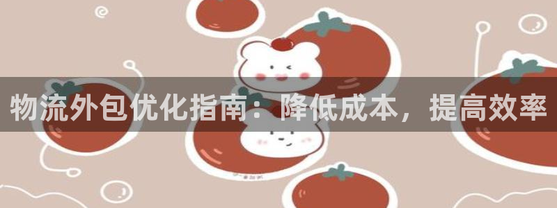 28圈注册网站多少：物流外包优化指南