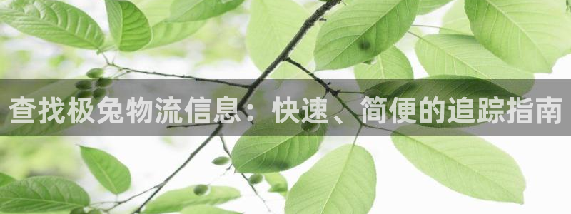 28圈注册网站多少钱：查找极兔物流信