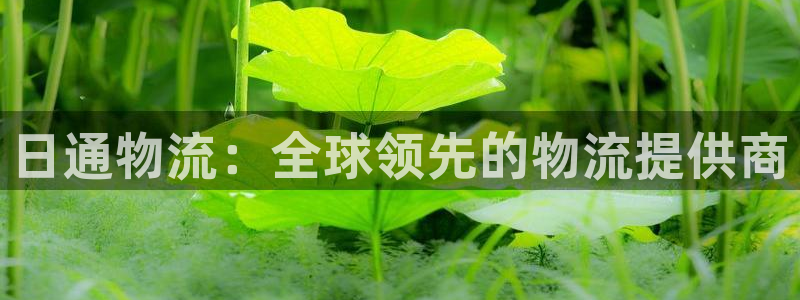 28圈注册网站：日通物流：全球领先的