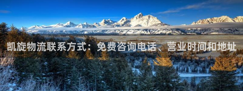 28圈模拟器下载：凯旋物流联系方式：