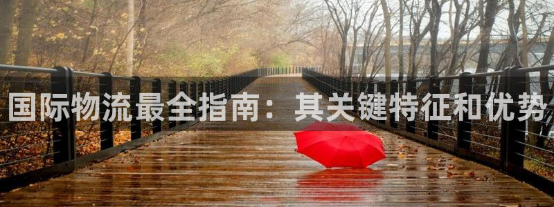28圈提现不到账