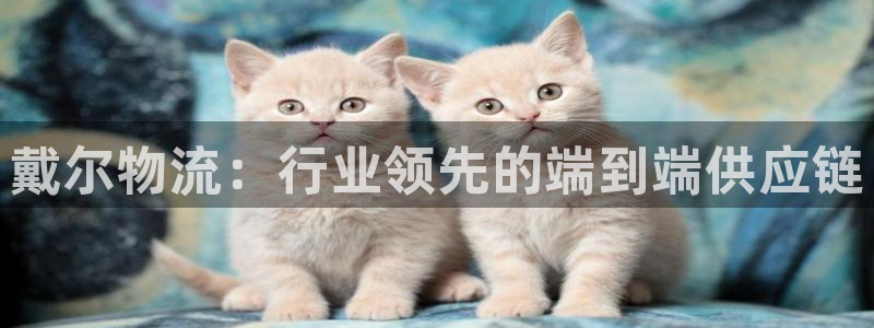 28圈注册网站多少：戴尔物流：行业领