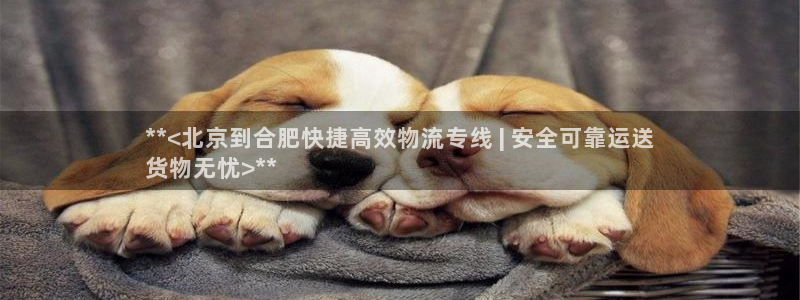 28圈相信品牌的力量