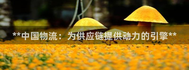 28圈注册送：**中国物流：为供应链