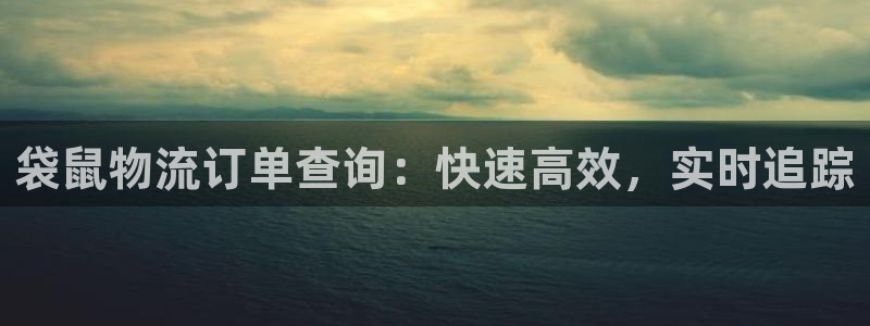28圈预测网