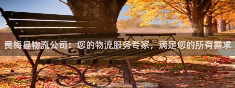 28圈麻将胡了爆分视频