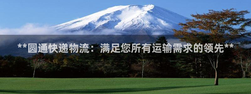 28圈注册送：**圆通快递物流：满足
