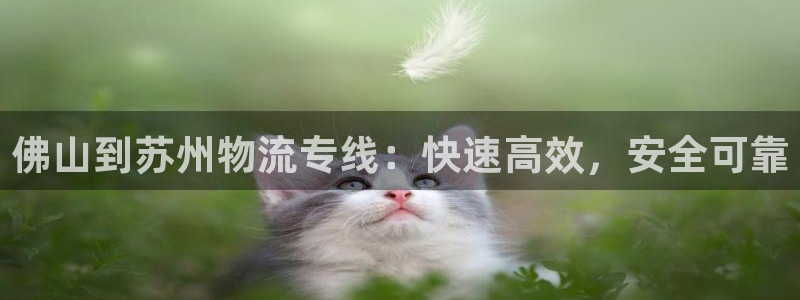 28圈旗下