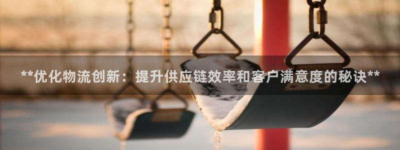 28圈退款教程：**优化物流创新：提