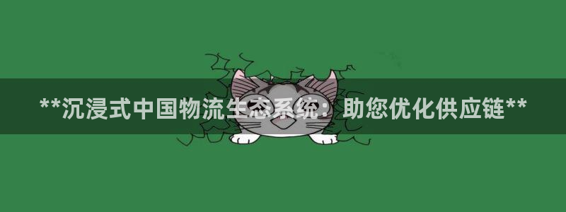 28圈是啥：**沉浸式中国物流生态系