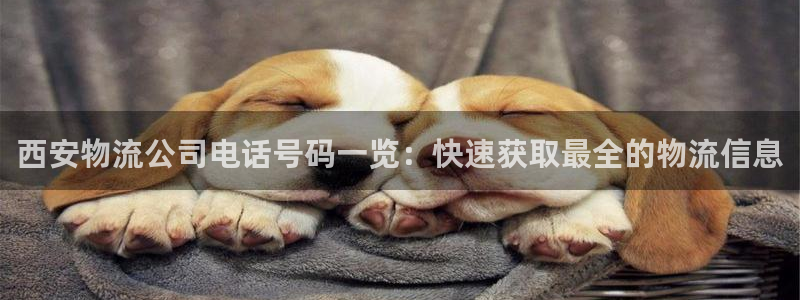 28圈官网网站：西安物流公司电话号码
