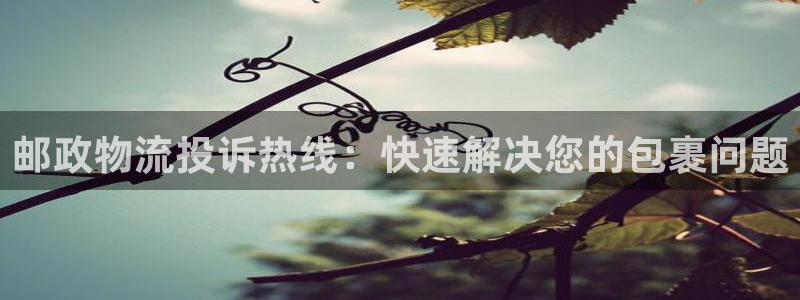 28圈黑吗