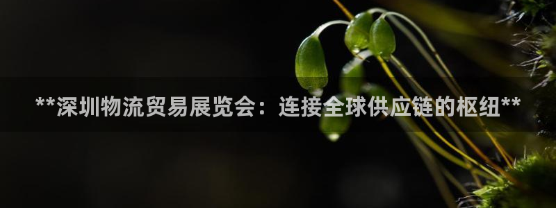 28圈注册登录链接流程：**深圳物流