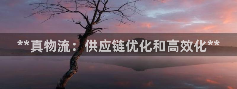 28圈官方：**真物流：供应链优化和
