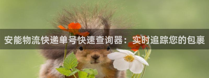 28圈注册平台：安能物流快递单号快速