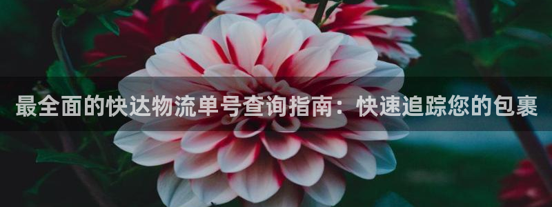 28圈注册链接入口：最全面的快达物流