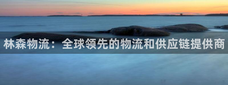 28圈加拿大在线预测：林森物流：全球领先的物流和供应链提供商