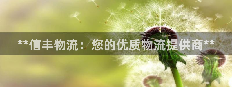 28圈大神预测