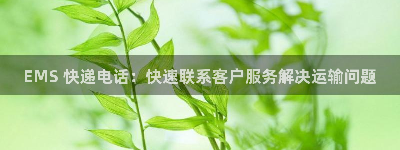 28圈加拿大pc预测：EMS 快递电话：快速联系客户服务解决