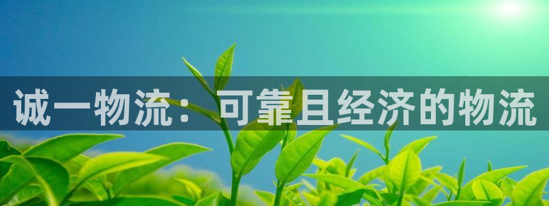 28圈自行车图片大全