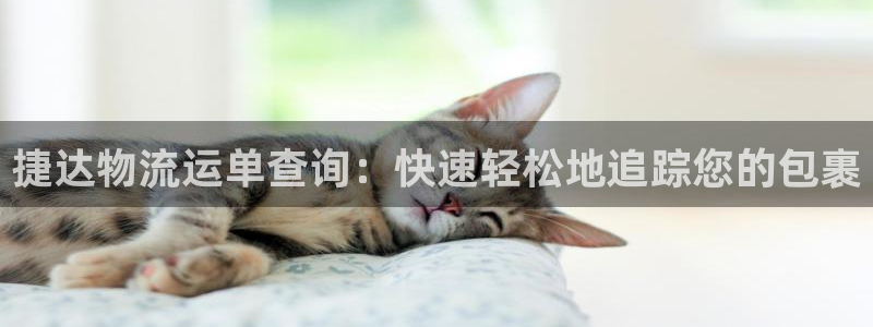 28圈大神预测