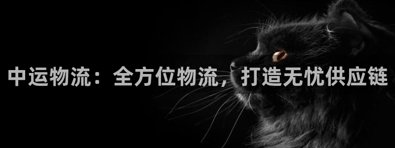 28圈新用户怎么注册：中运物流：全方