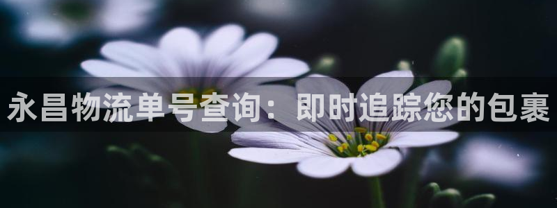 28圈v6能卖多少