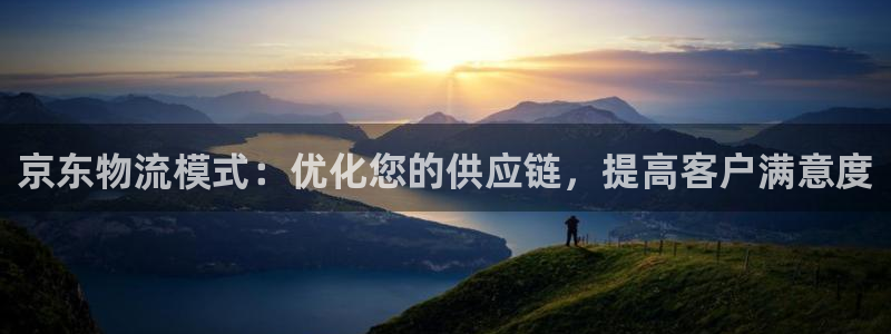 28圈电子游戏：京东物流模式：优化您