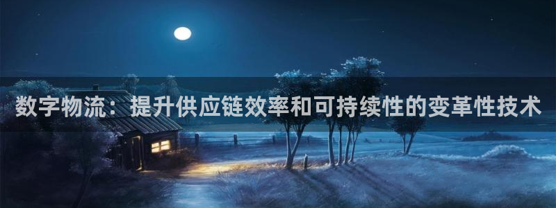 28圈ccm官网版：数字物流：提升供应链效率和可持续性的变革