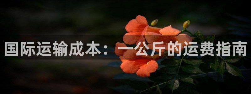28圈链接是什么：国际运输成本：一公