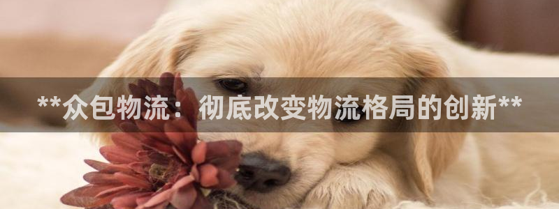 28圈模拟器在线玩：**众包物流：彻底改变物流格局的创新**