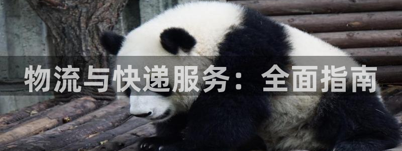 28圈预测加拿大师准：物流与快递服务
