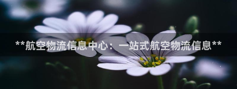 28圈游戏官网平台
