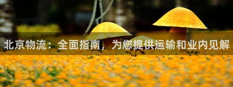 28圈网赌有什么风险：北京物流：全面