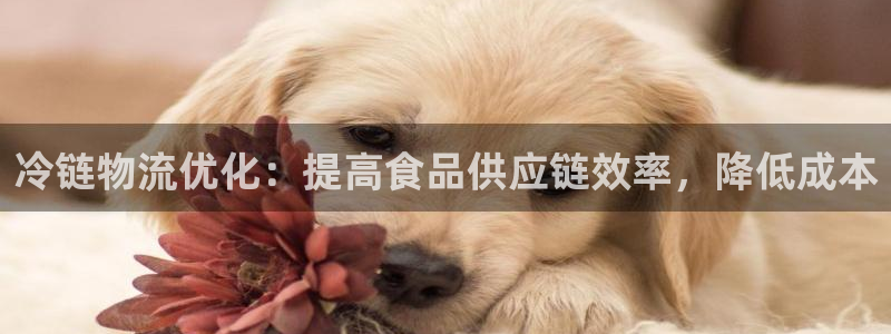 28圈下载体育：冷链物流优化：提高食