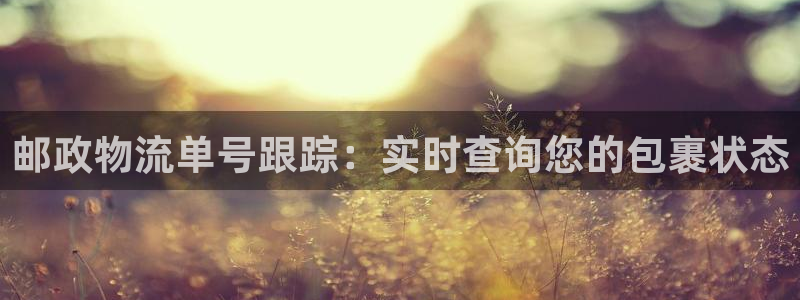 28圈加拿大在线预测：邮政物流单号跟