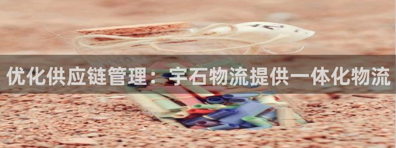 28圈加拿大28：优化供应链管理：宇
