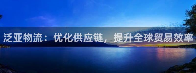 28圈登录用户名登录不上：泛亚物流：