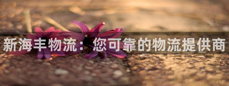 28圈加拿大怎么玩：新海丰物流：您可