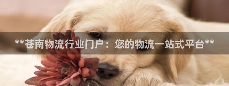 28圈p扣款什么意思：**苍南物流行