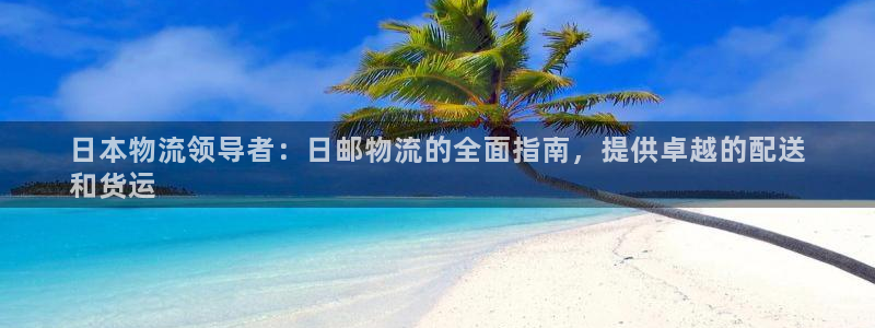 28圈是南宫旗下的吗：日本物流领导者