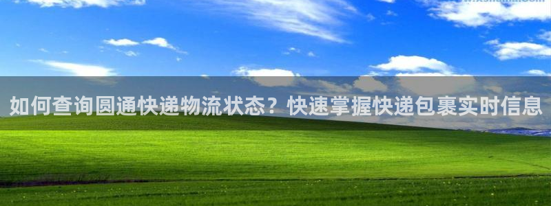 28圈玩法：如何查询圆通快递物流状态